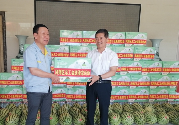 凤翔区政协领导开展夏季“送清凉”、“八一”走访慰问活动