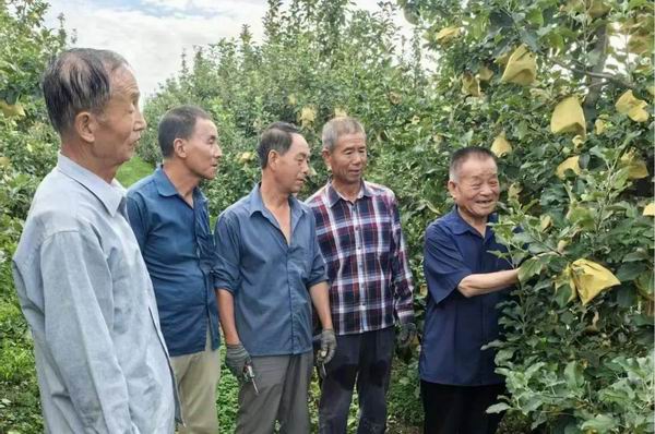 调整大小 1.jpg