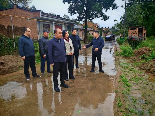 凤翔区政协主席牛军涛深入长青镇调研指导工作