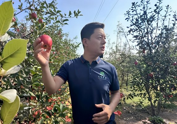 嗨，点击 Get 2025年度“委员风采”！（二）